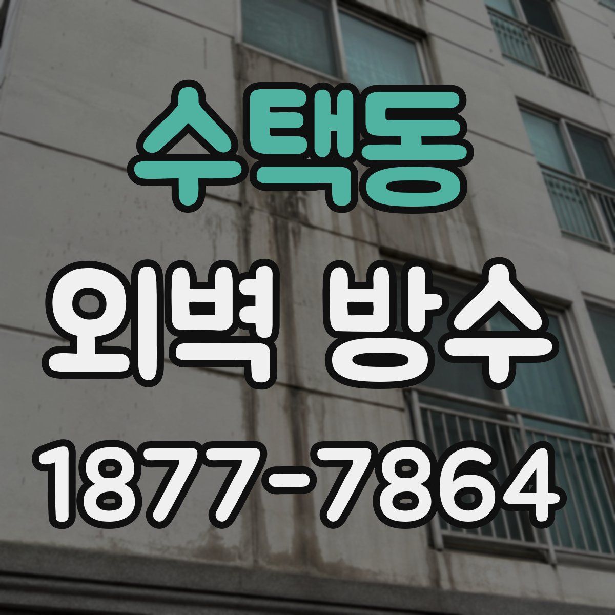 수택동 외벽 방수