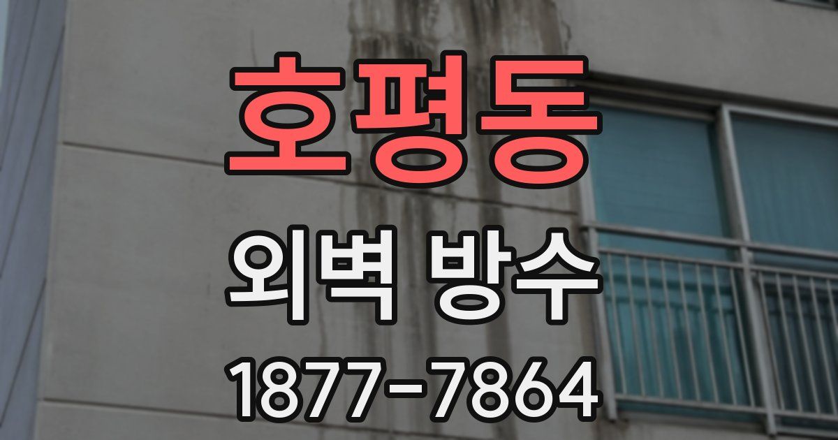 호평동 외벽 방수