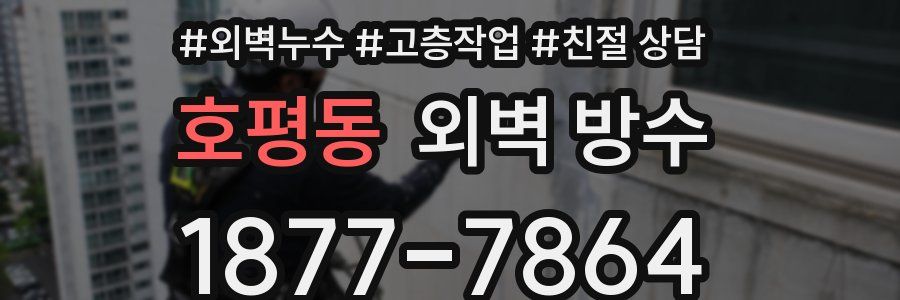 호평동 외벽 방수