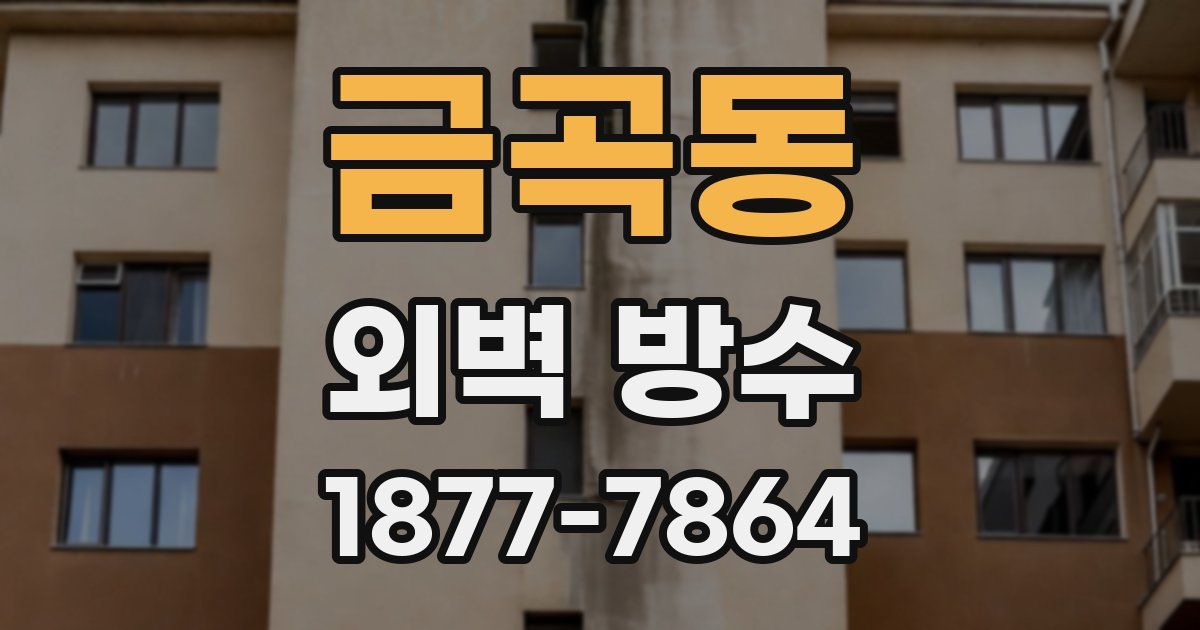 금곡동 외벽 방수