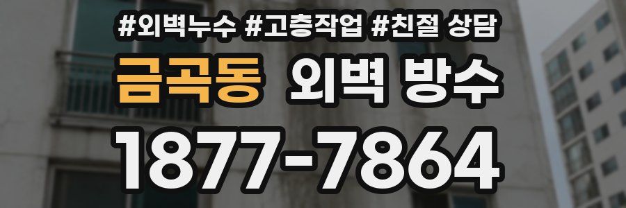금곡동 외벽 방수
