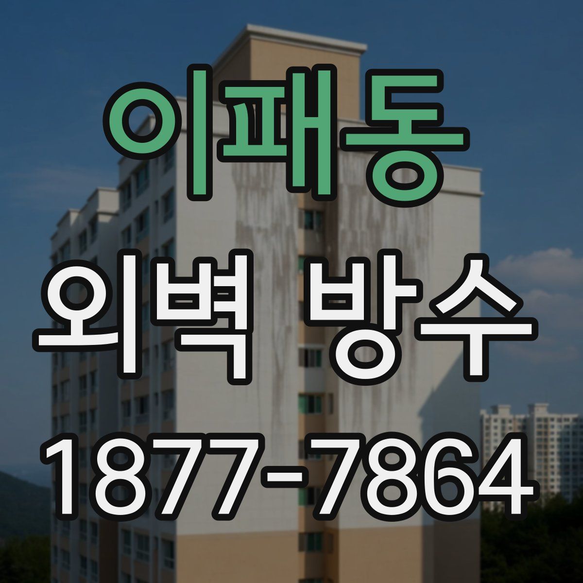 이패동 외벽 방수