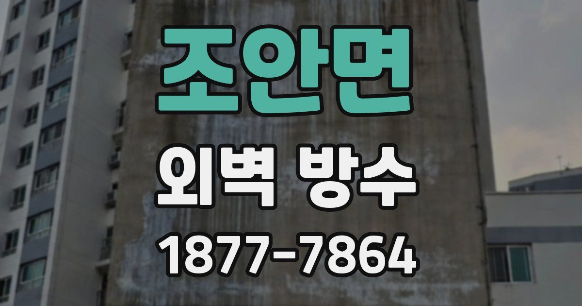 조안면 외벽 방수