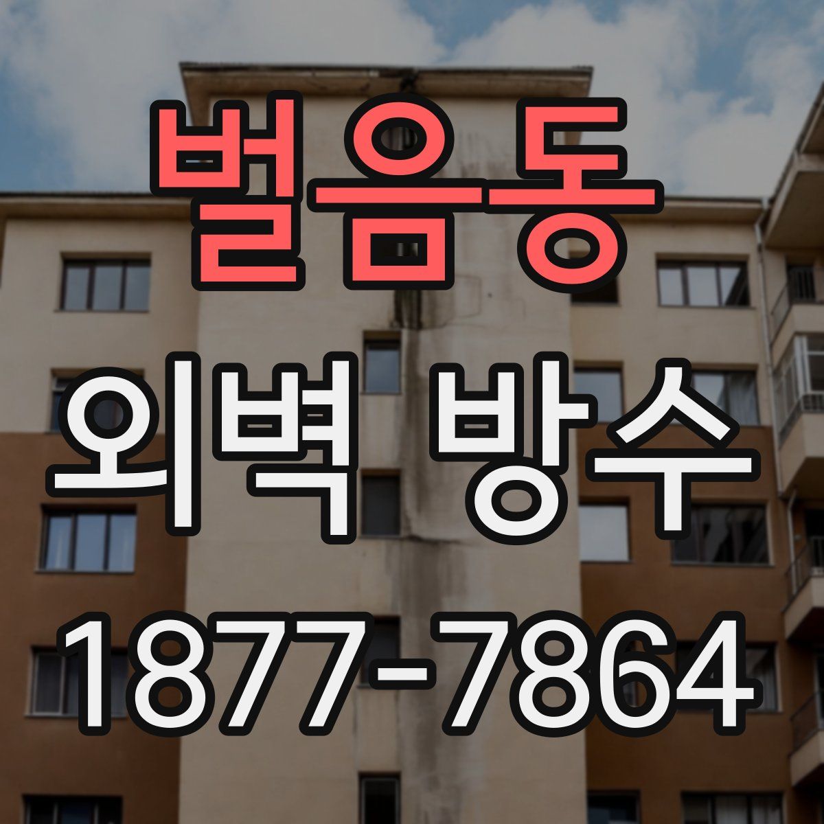 벌음동 외벽 방수