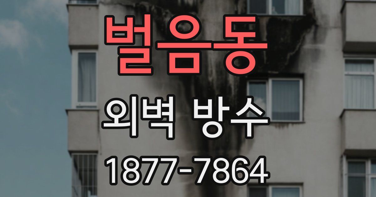 벌음동 외벽 방수