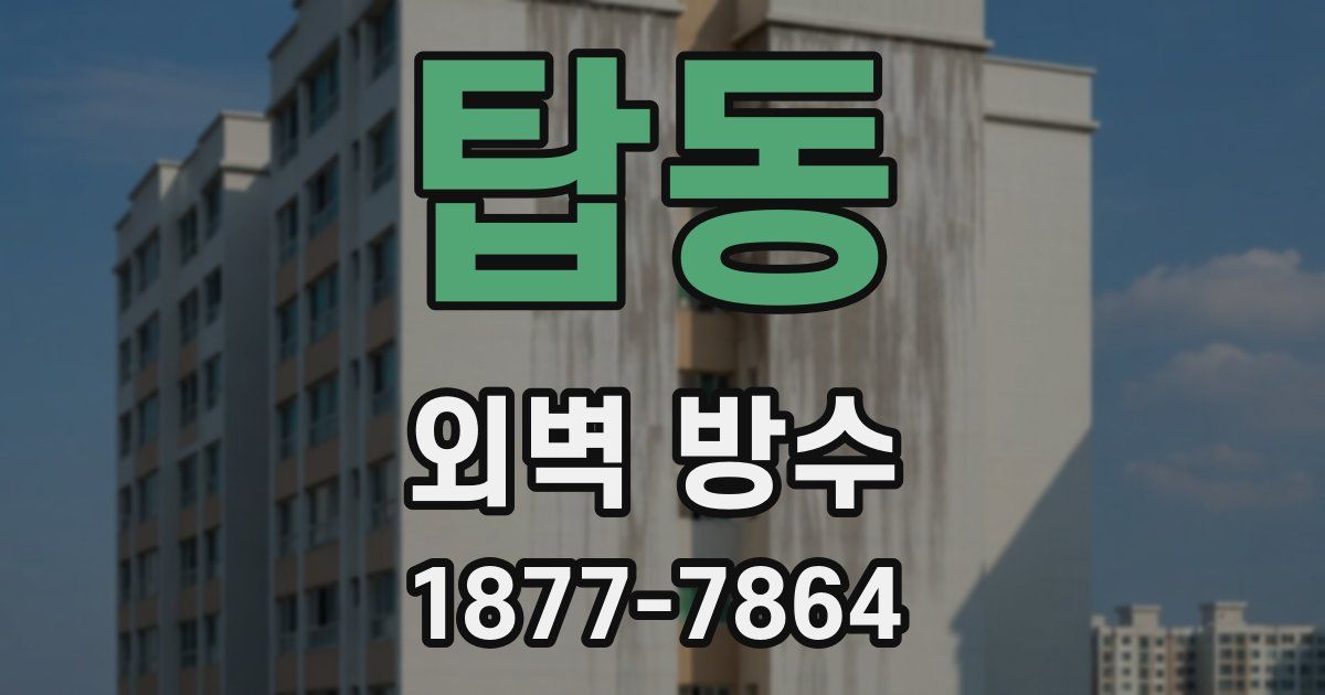 탑동 외벽 방수