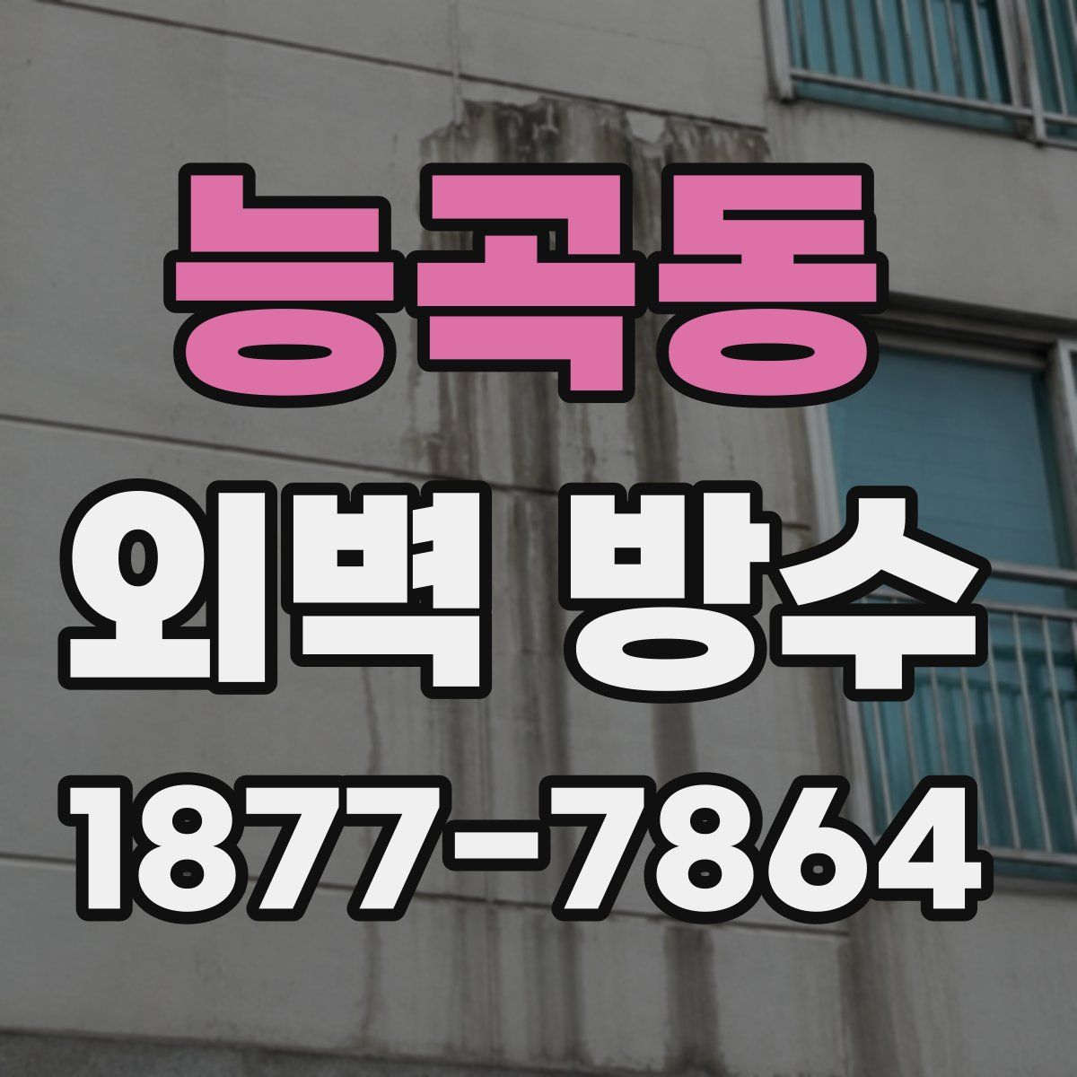 능곡동 외벽 방수