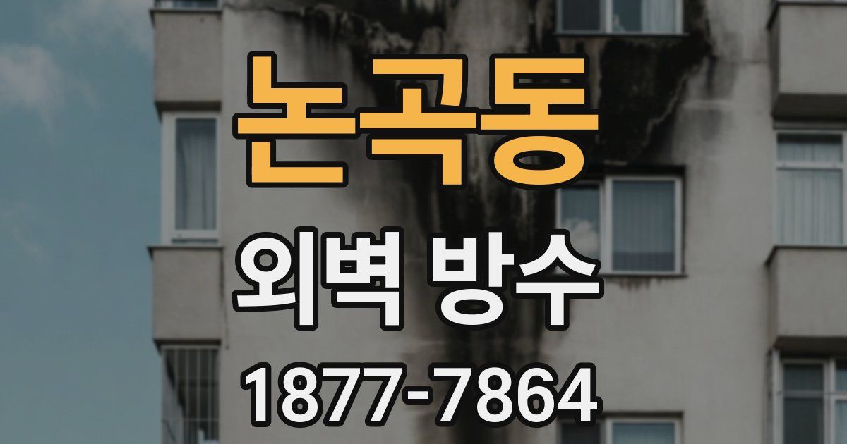 논곡동 외벽 방수