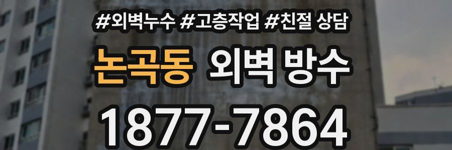 논곡동 외벽 방수