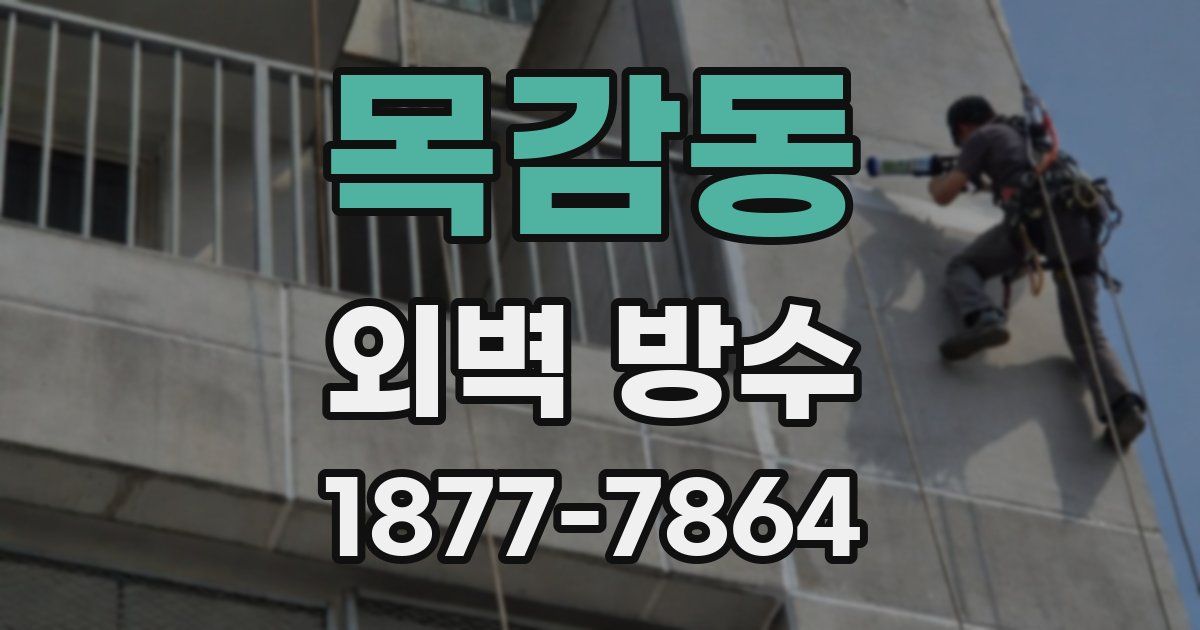 목감동 외벽 방수