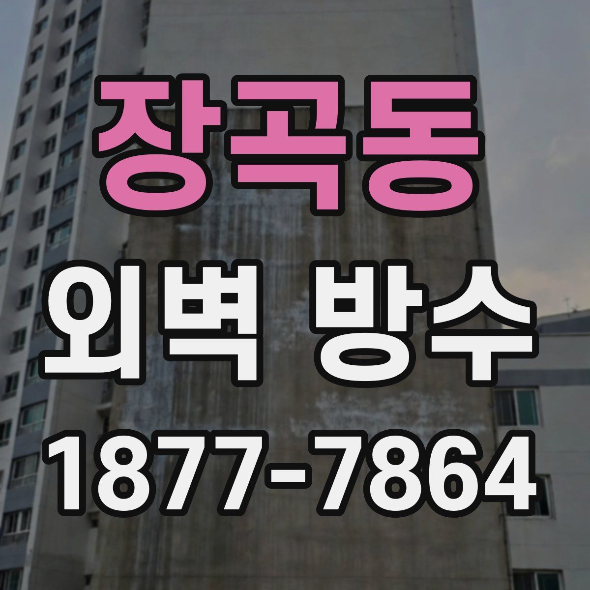 장곡동 외벽 방수