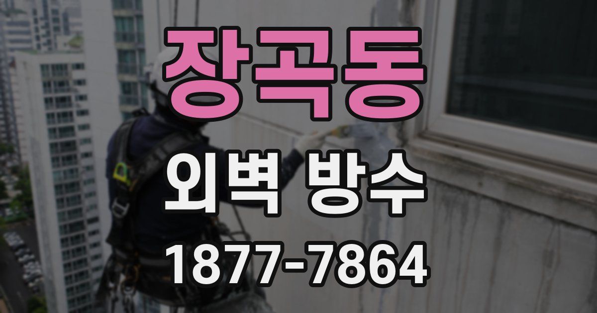 장곡동 외벽 방수