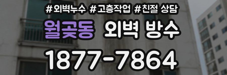 월곶동 외벽 방수