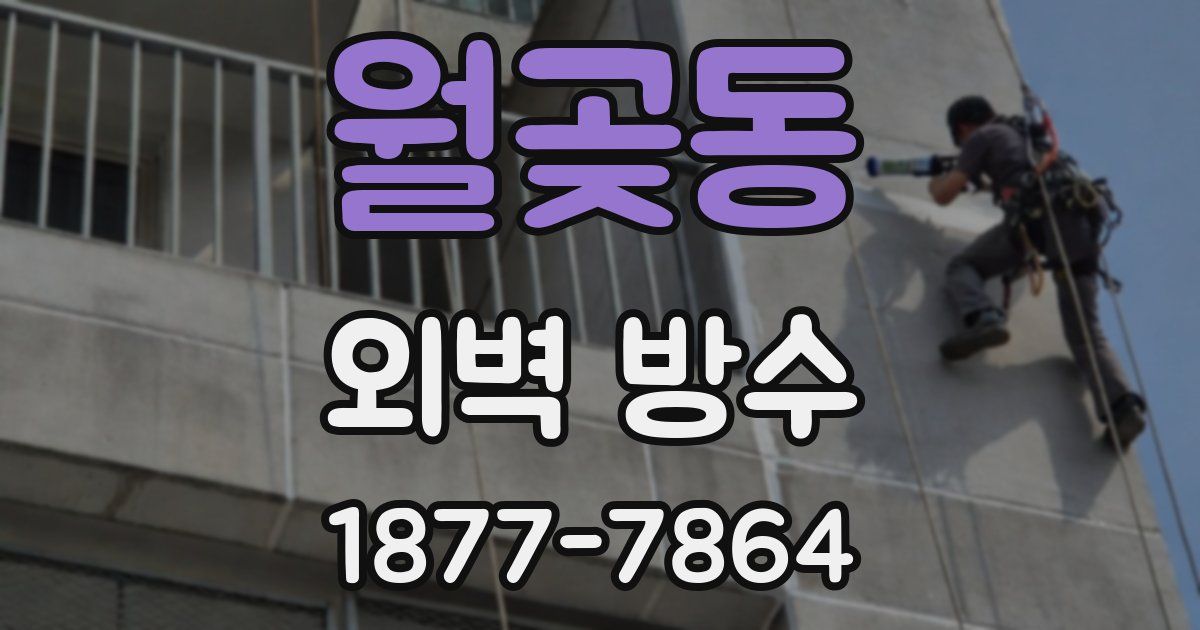 월곶동 외벽 방수