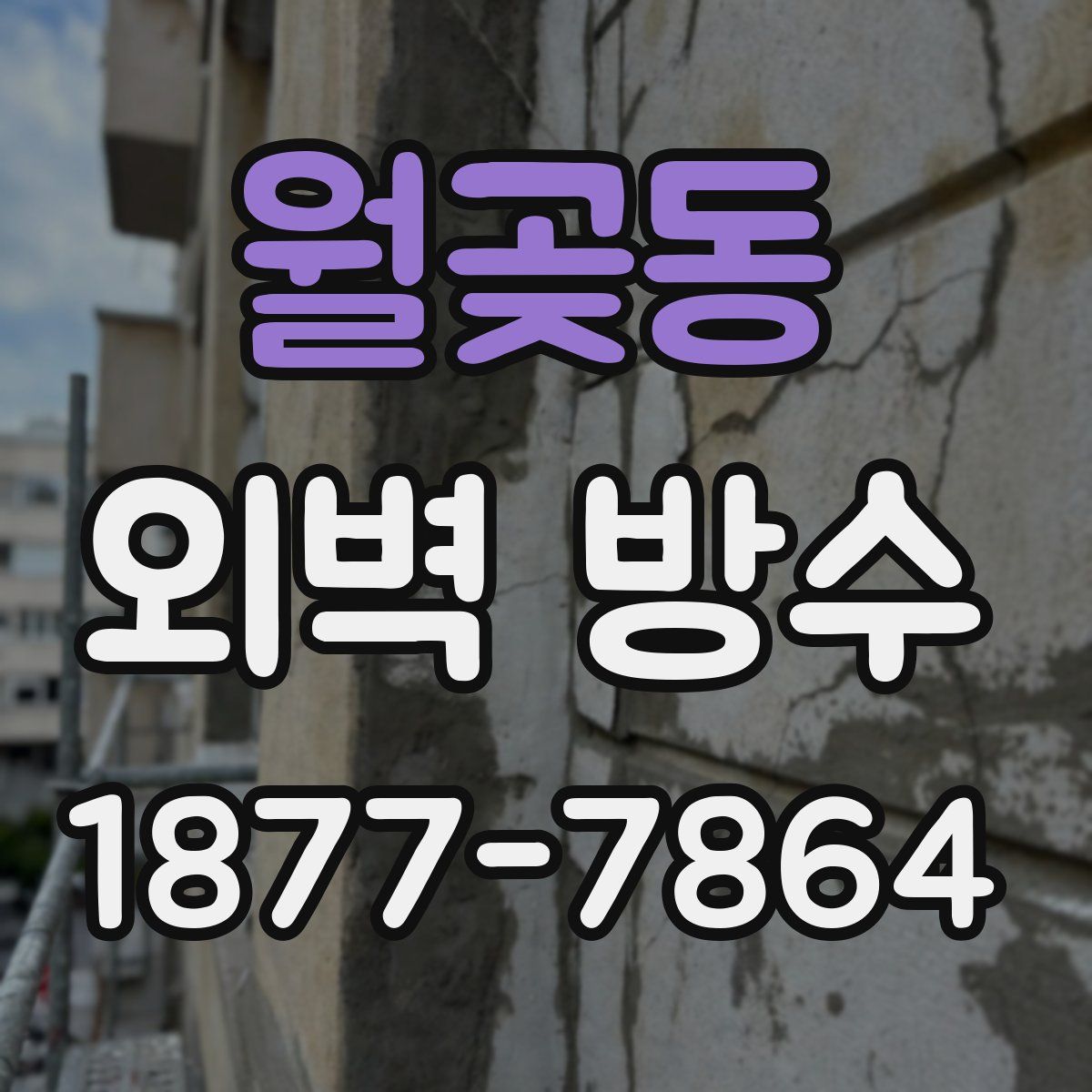 월곶동 외벽 방수