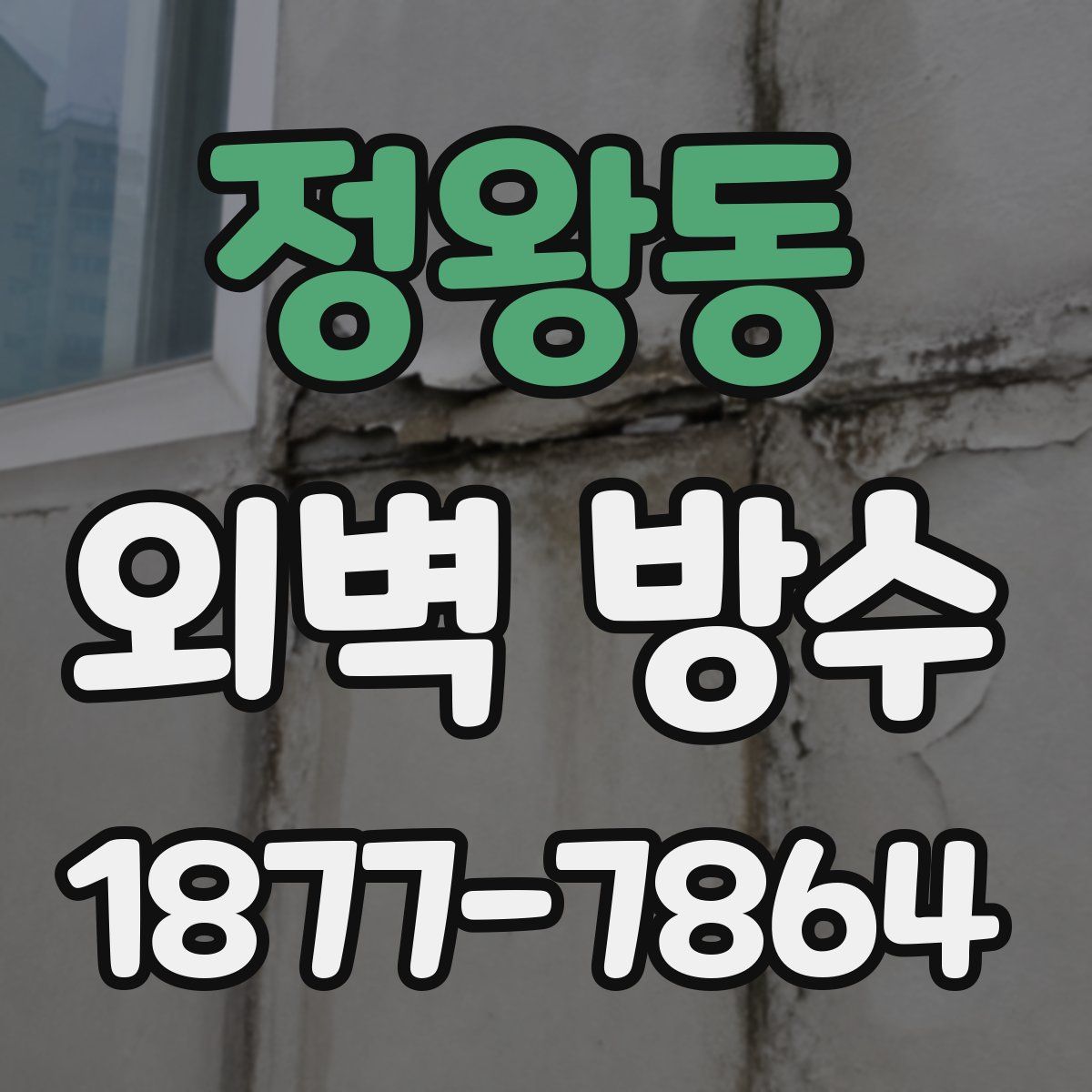 정왕동 외벽 방수