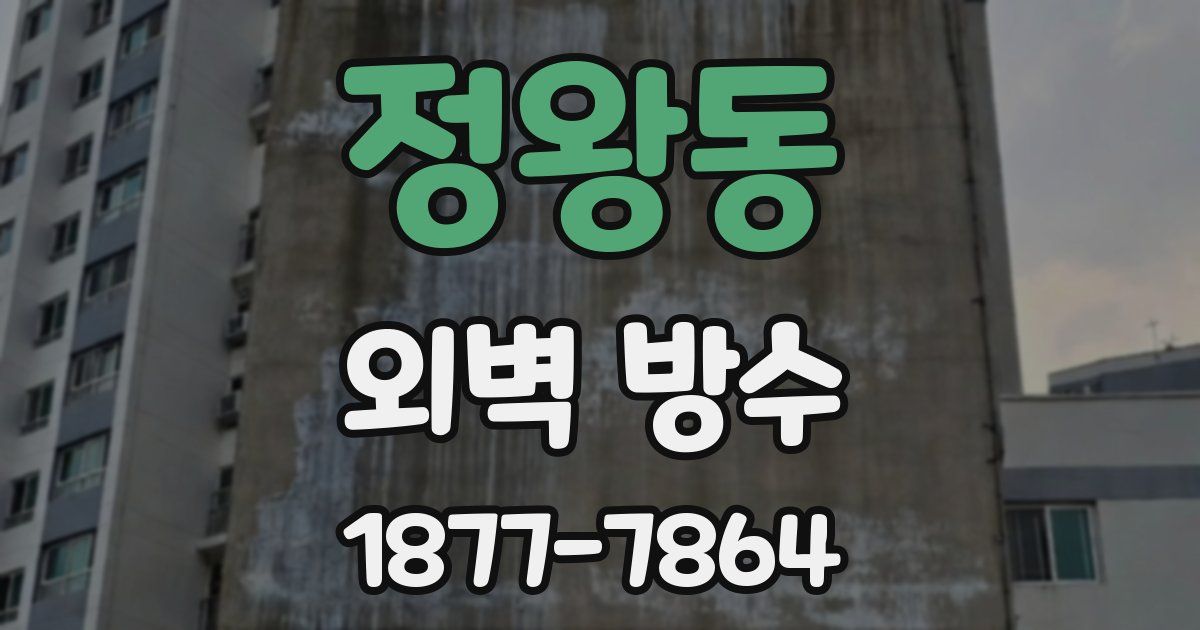 정왕동 외벽 방수