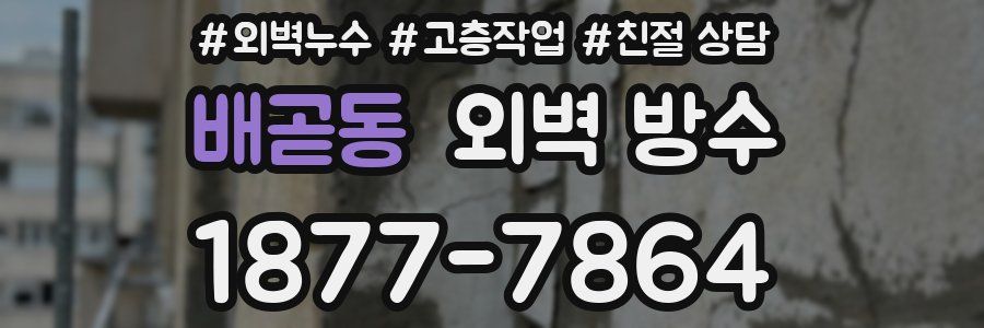 배곧동 외벽 방수