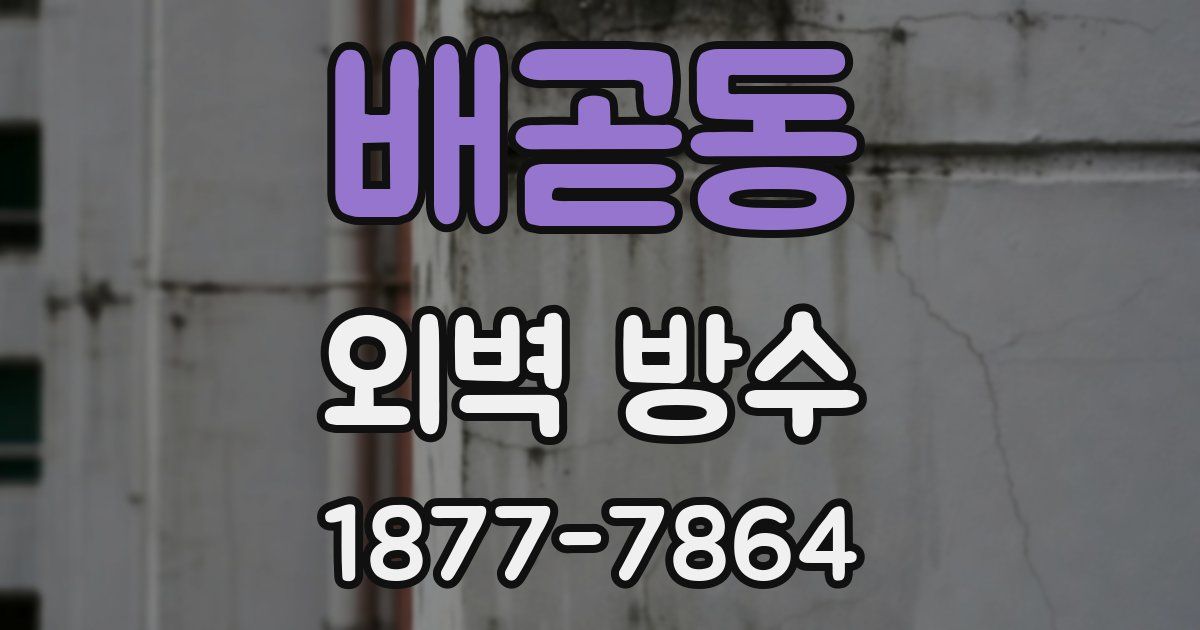 배곧동 외벽 방수