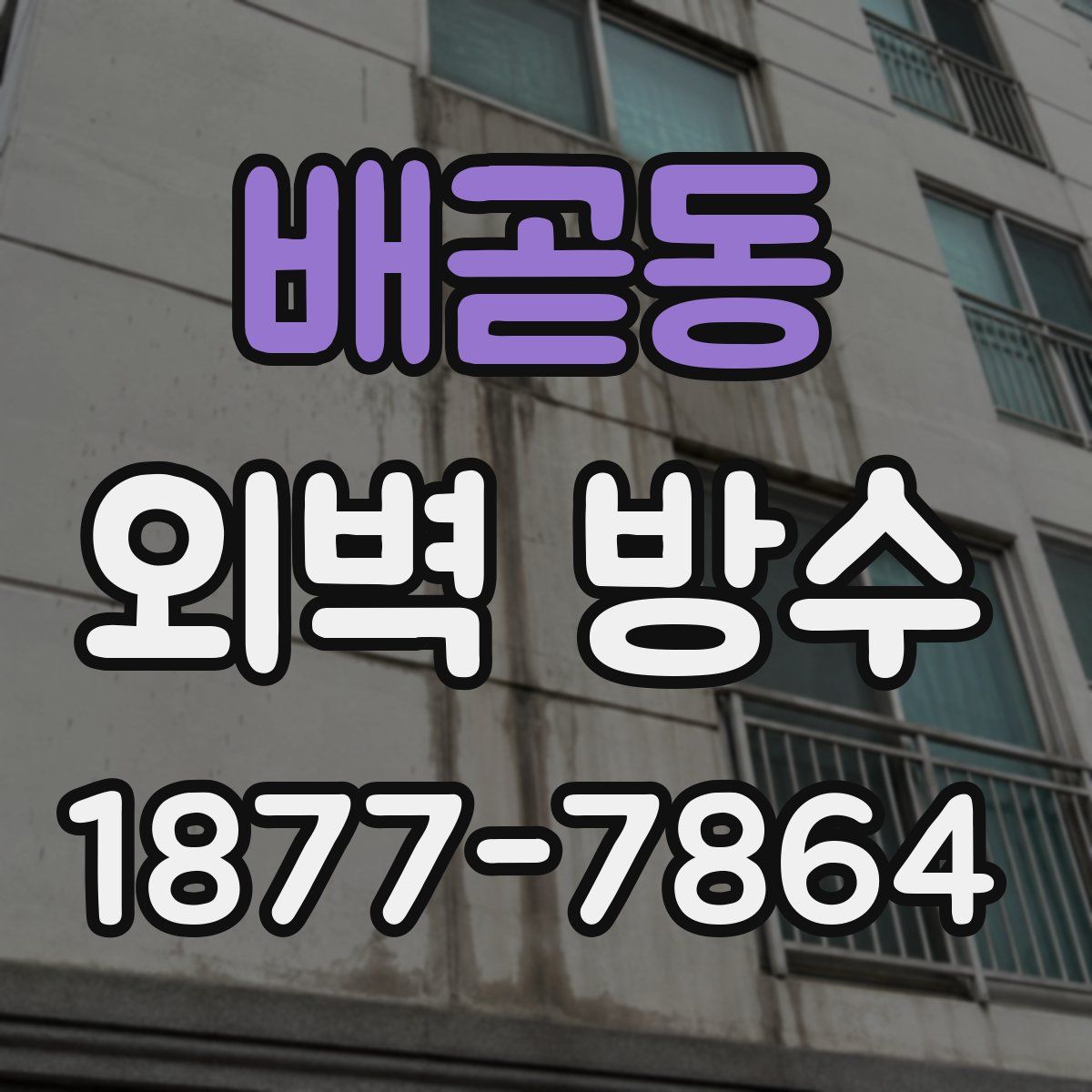 배곧동 외벽 방수