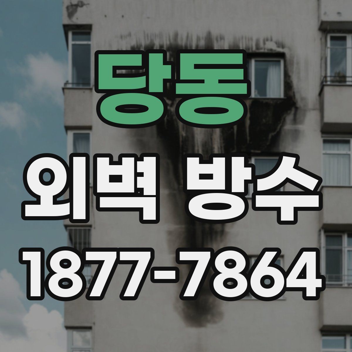 당동 외벽 방수 마감재 선택 시 살펴볼 점