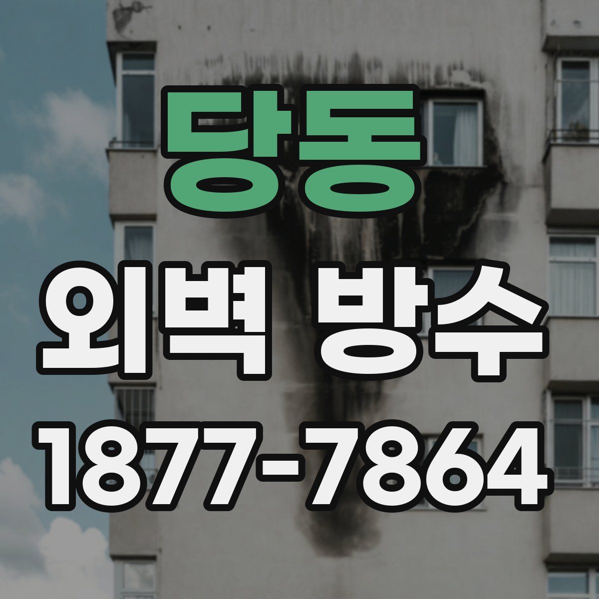 당동 외벽 방수