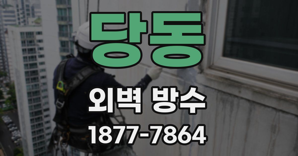 당동 외벽 방수