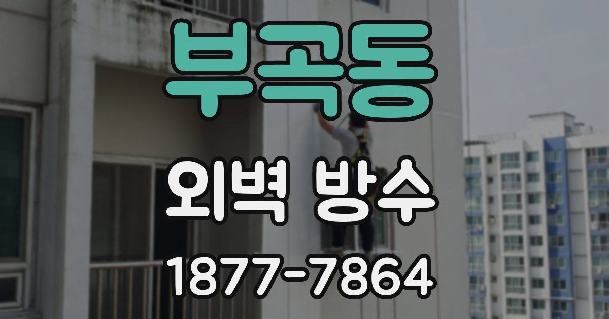 부곡동 외벽 방수