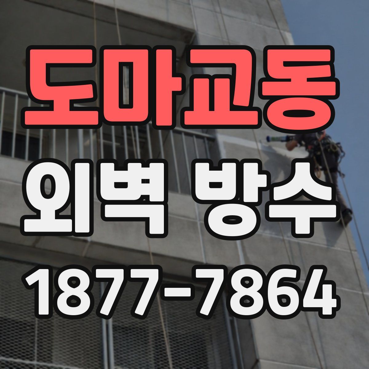 도마교동 외벽 방수