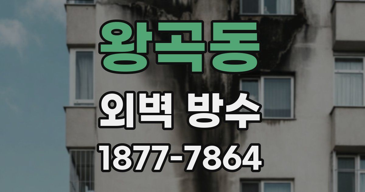 왕곡동 외벽 방수