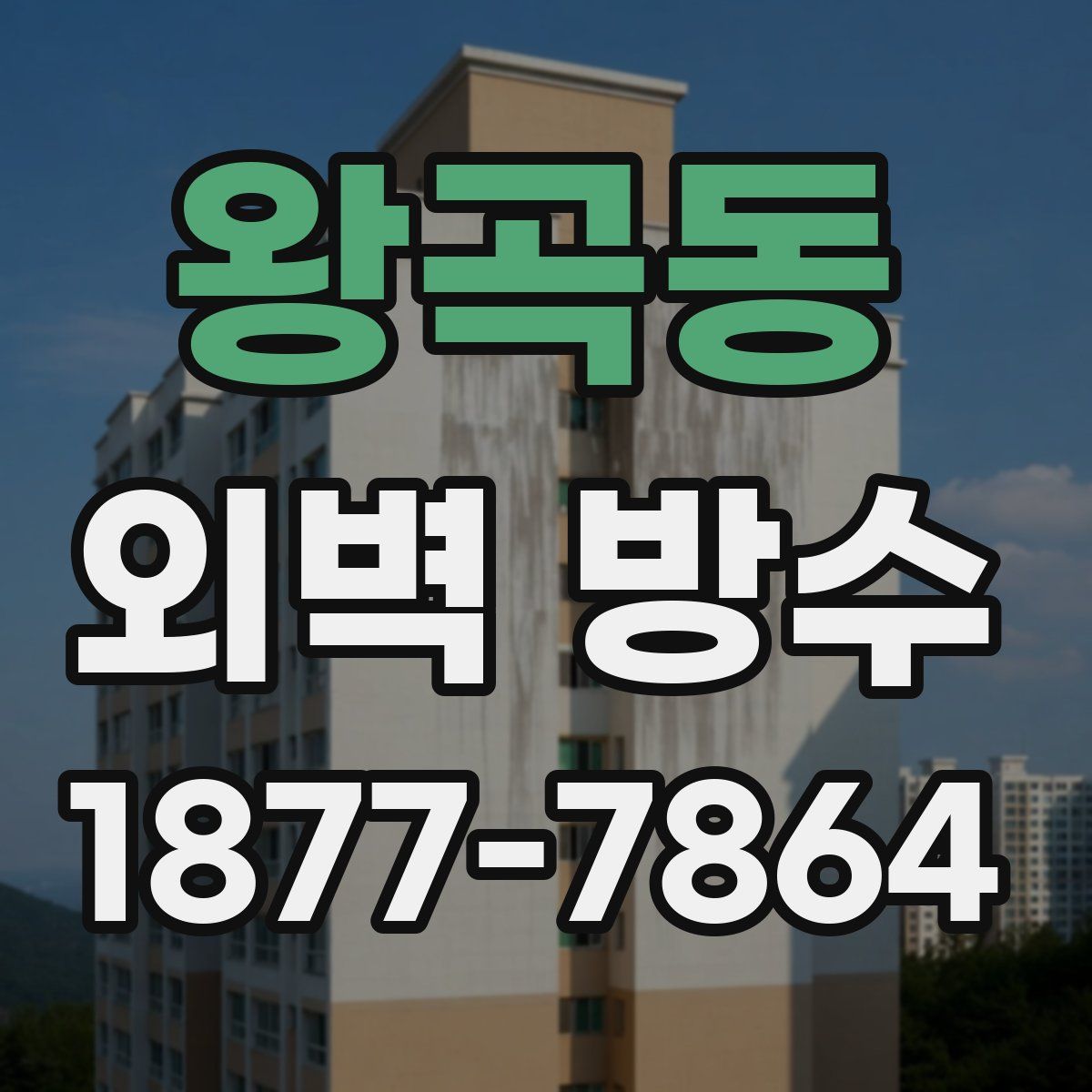 왕곡동 외벽 방수