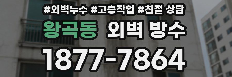 왕곡동 외벽 방수