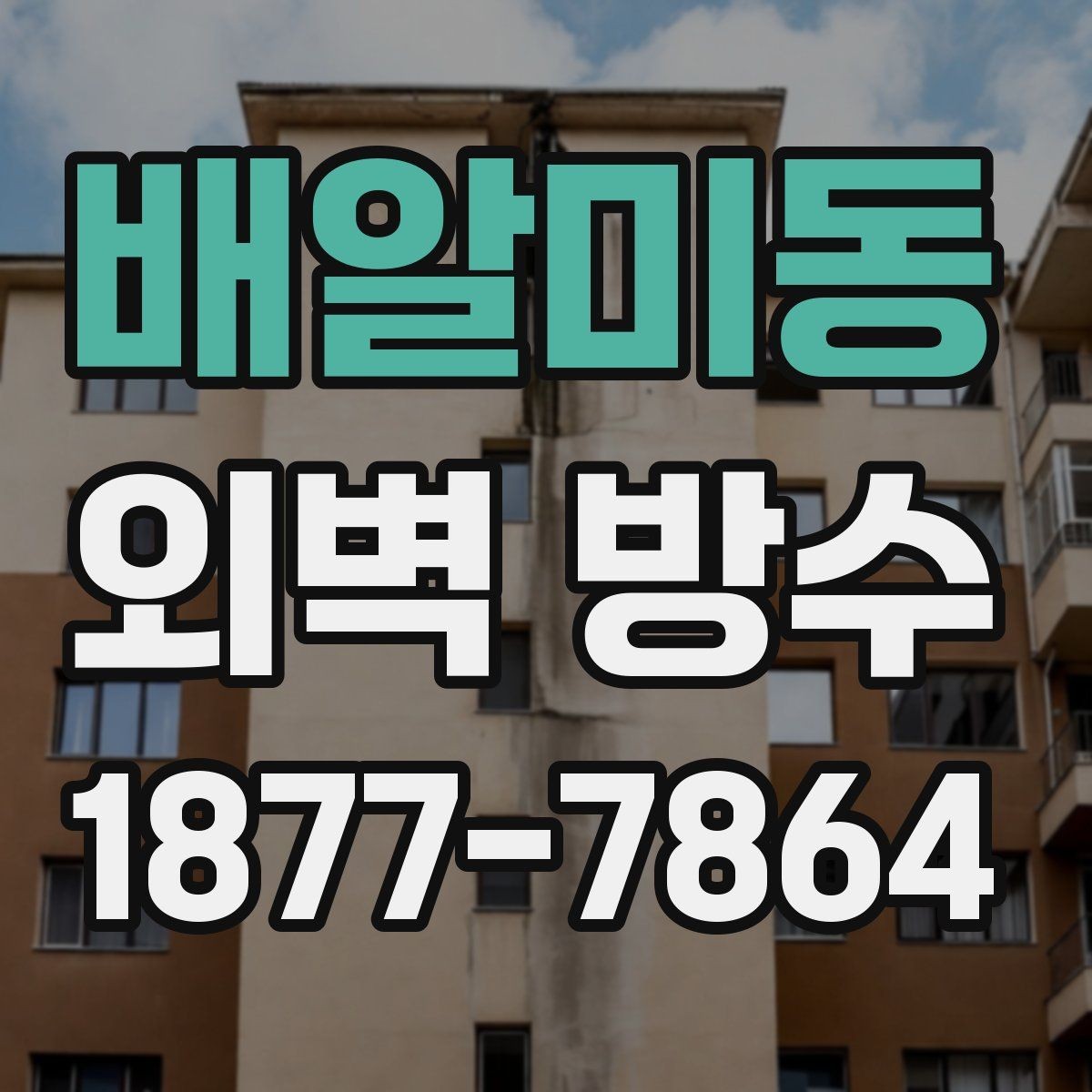 배알미동 외벽 방수 자재를 고를 때 보는 기준