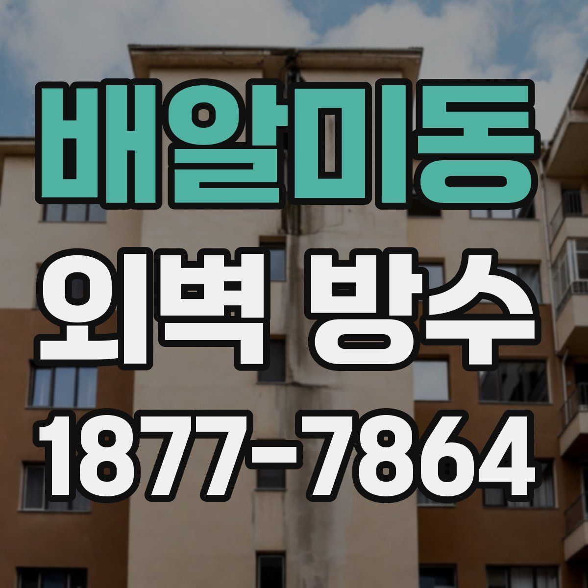 배알미동 외벽 방수