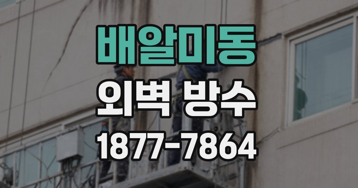 배알미동 외벽 방수