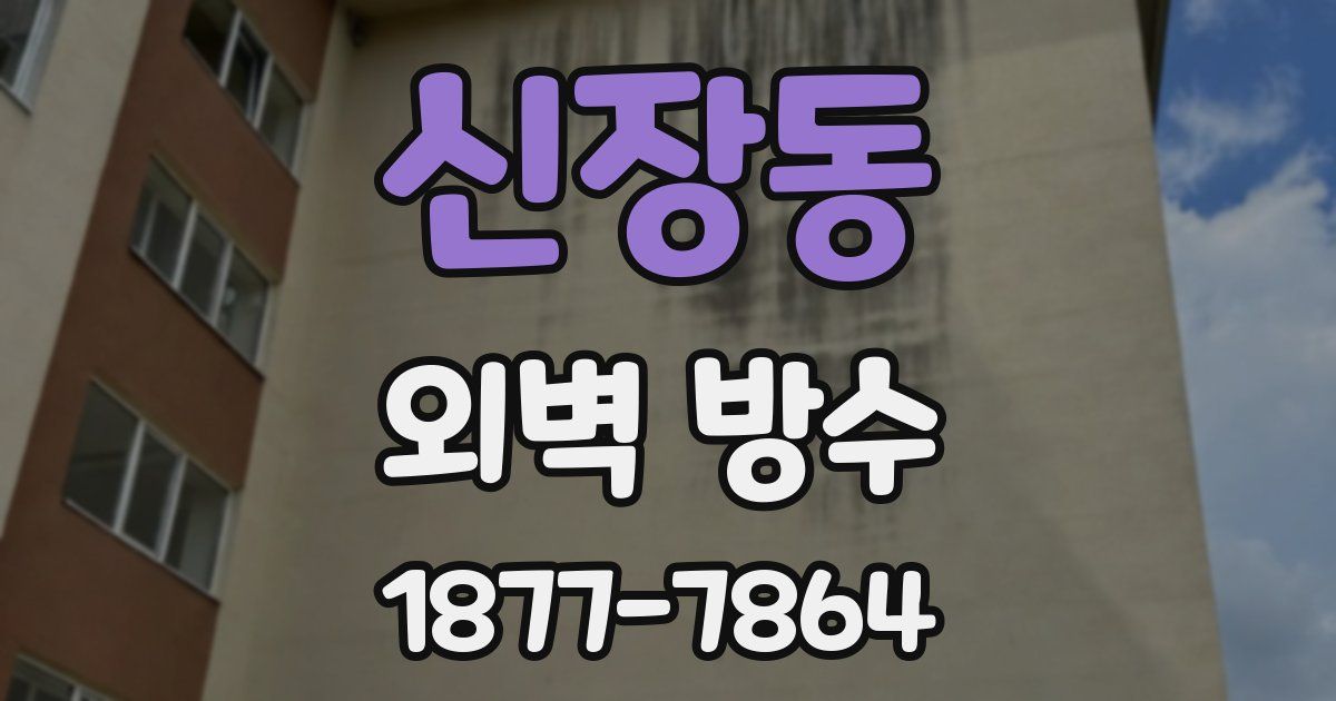신장동 외벽 방수