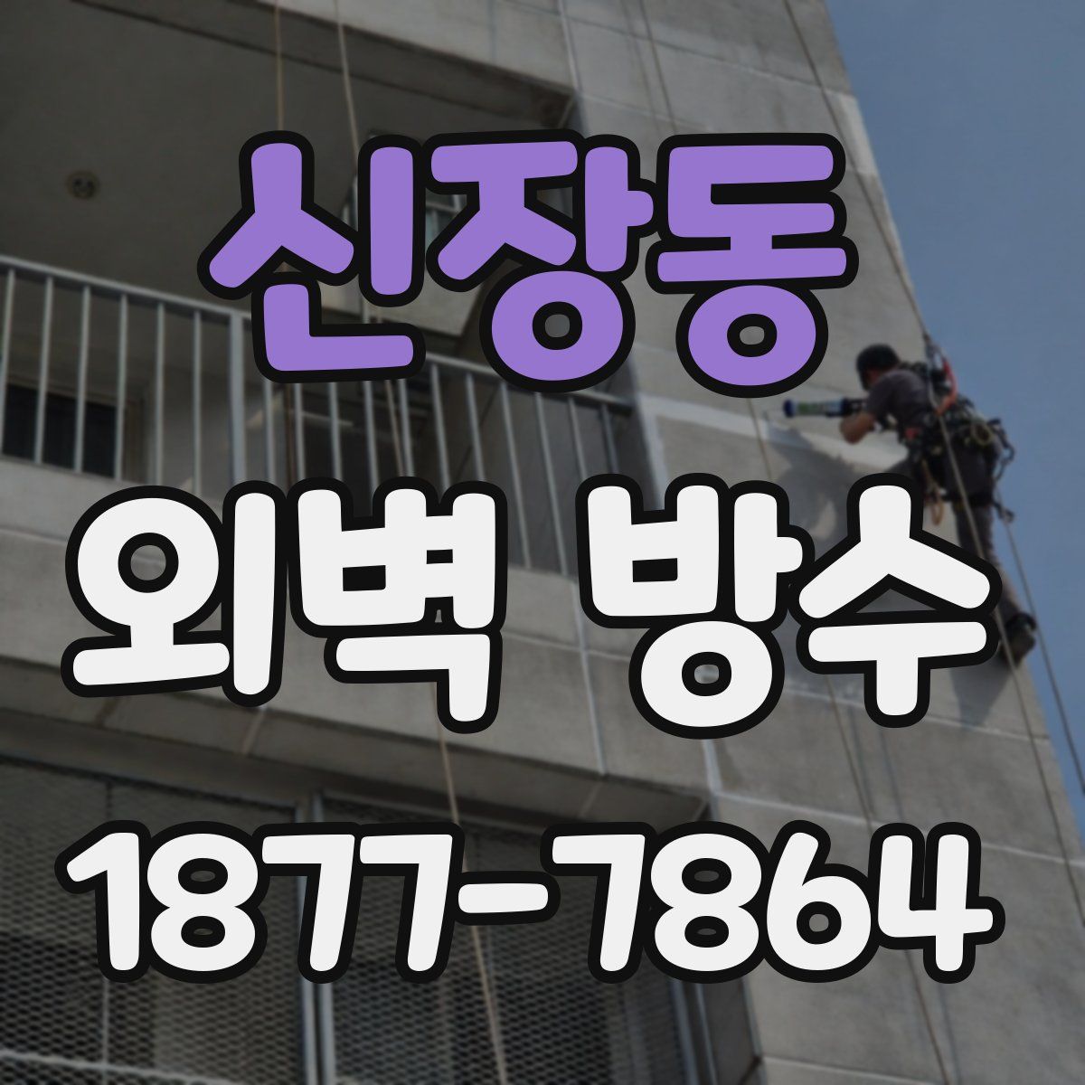 신장동 외벽 방수