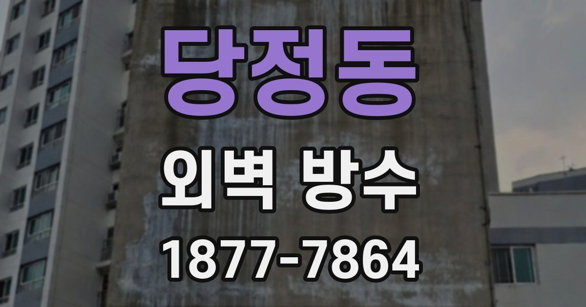 당정동 외벽 방수
