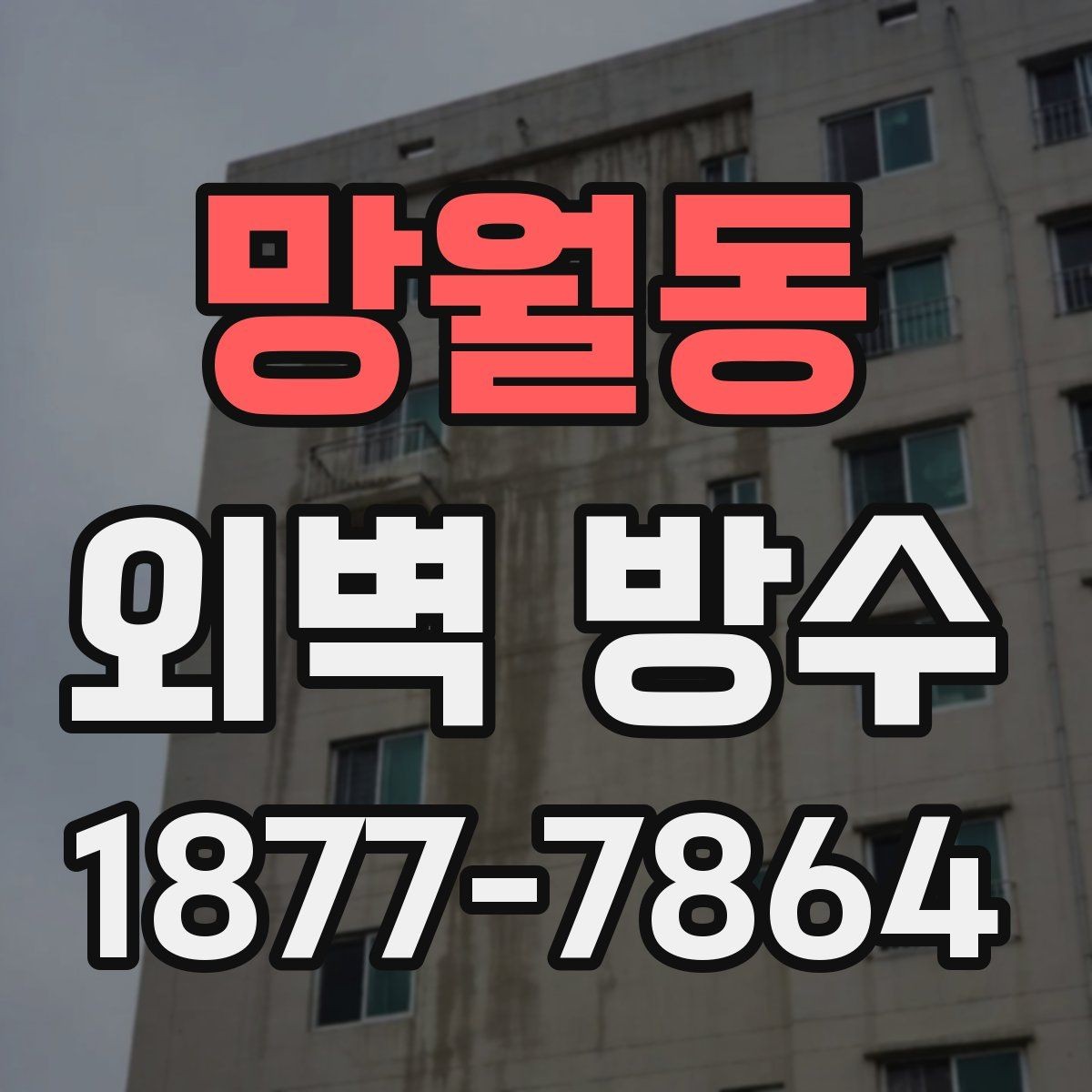 망월동 외벽 방수 공사 전후 비교로 보는 변화
