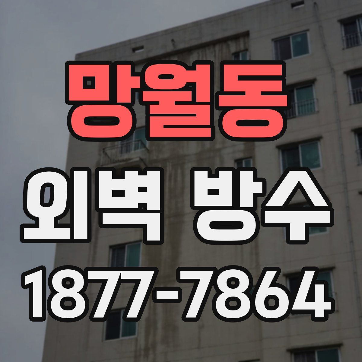 망월동 외벽 방수