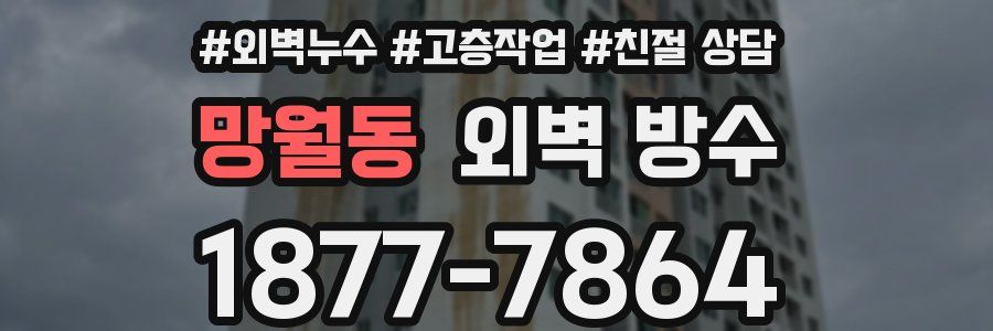 망월동 외벽 방수