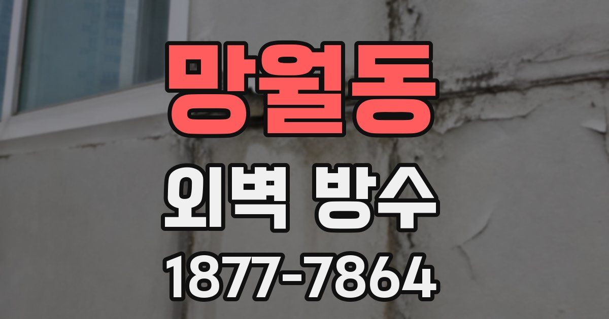 망월동 외벽 방수