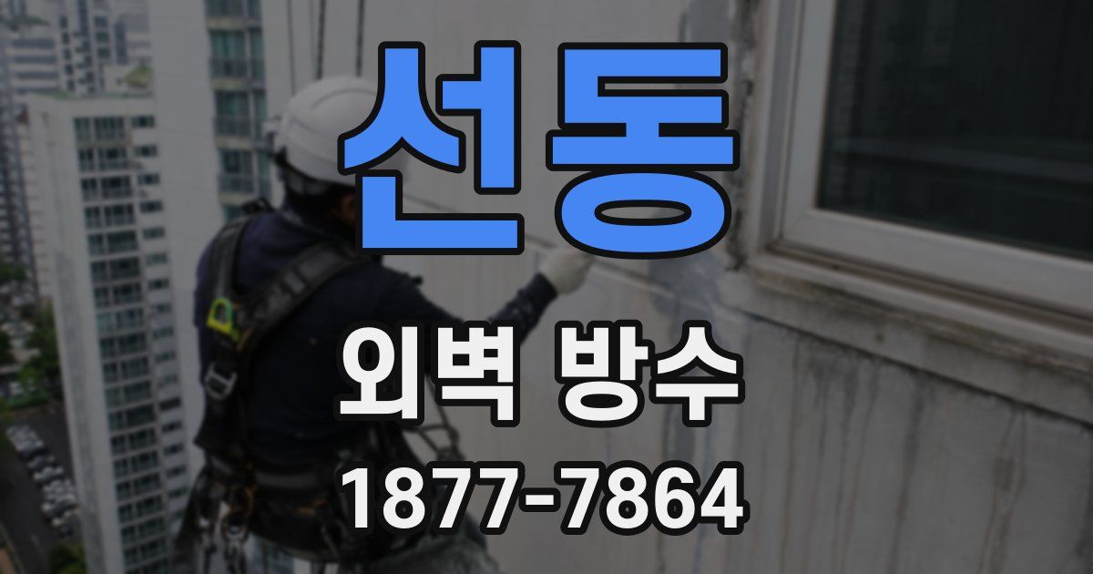 선동 외벽 방수
