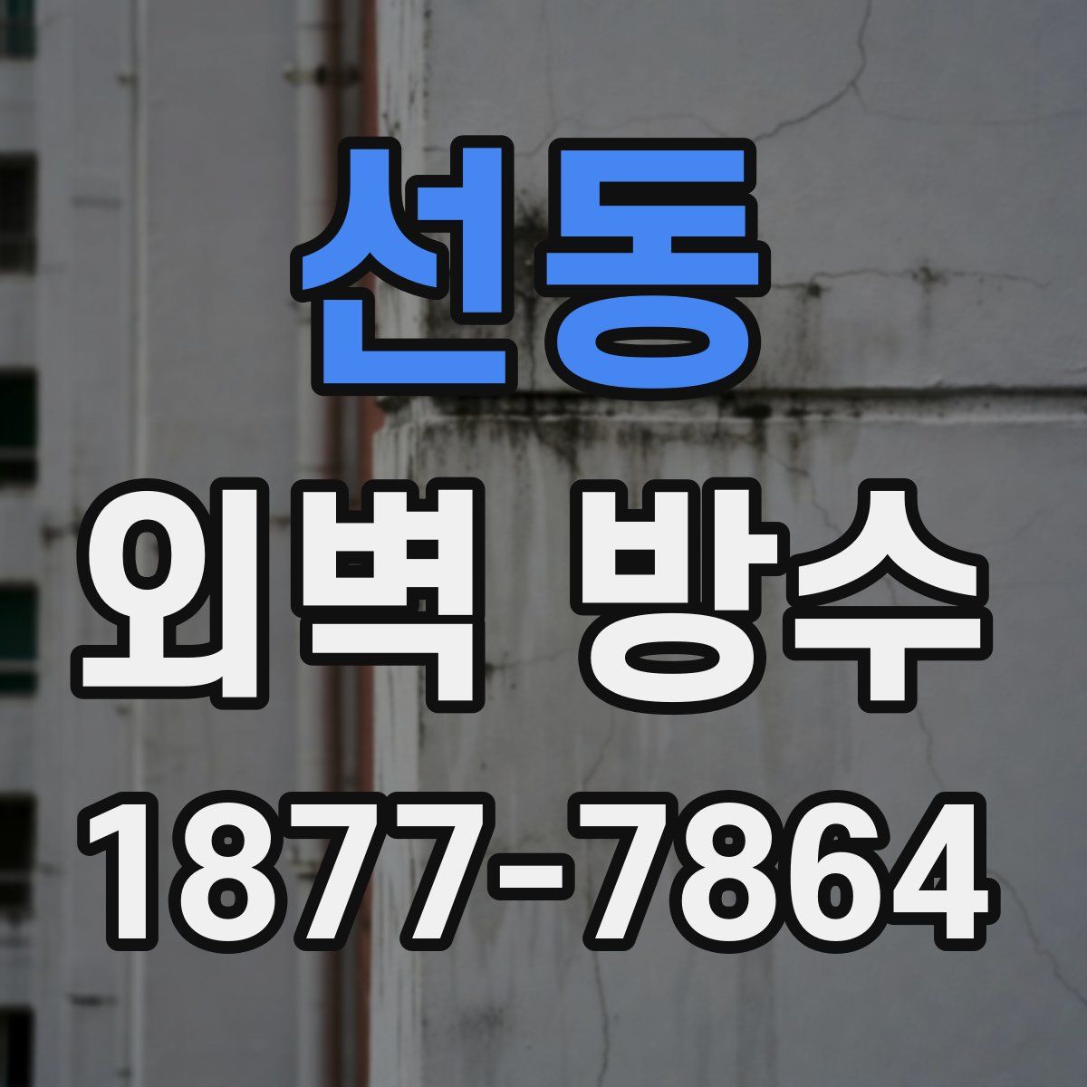 선동 외벽 방수