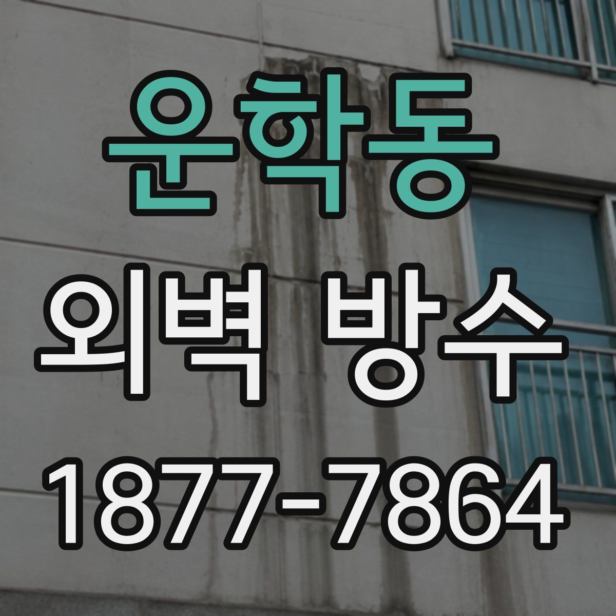 운학동 외벽 방수