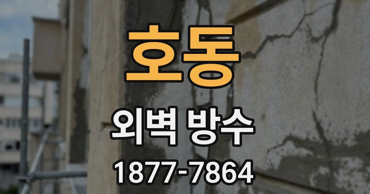 호동 외벽 방수
