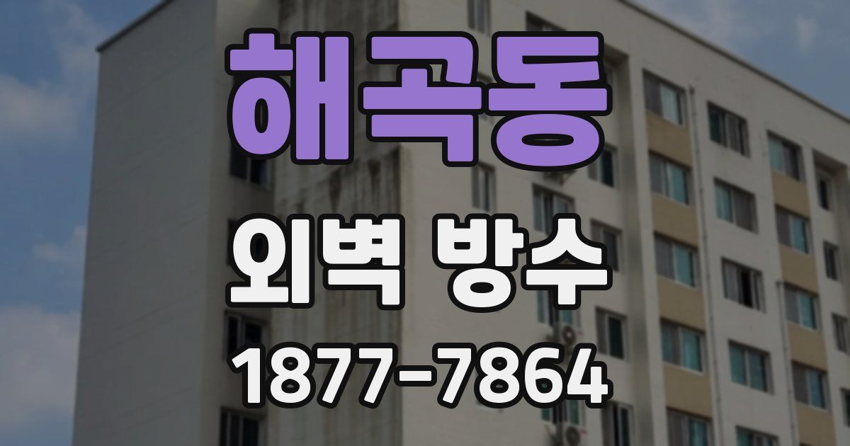 해곡동 외벽 방수