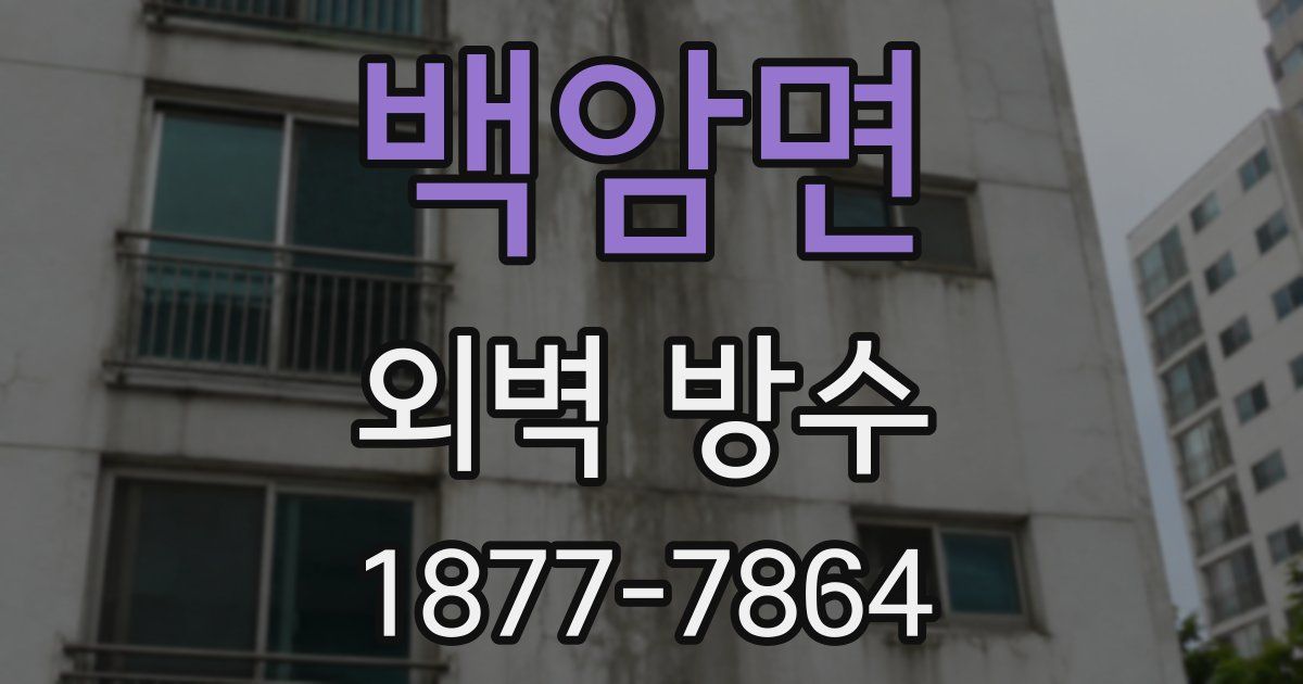 백암면 외벽 방수
