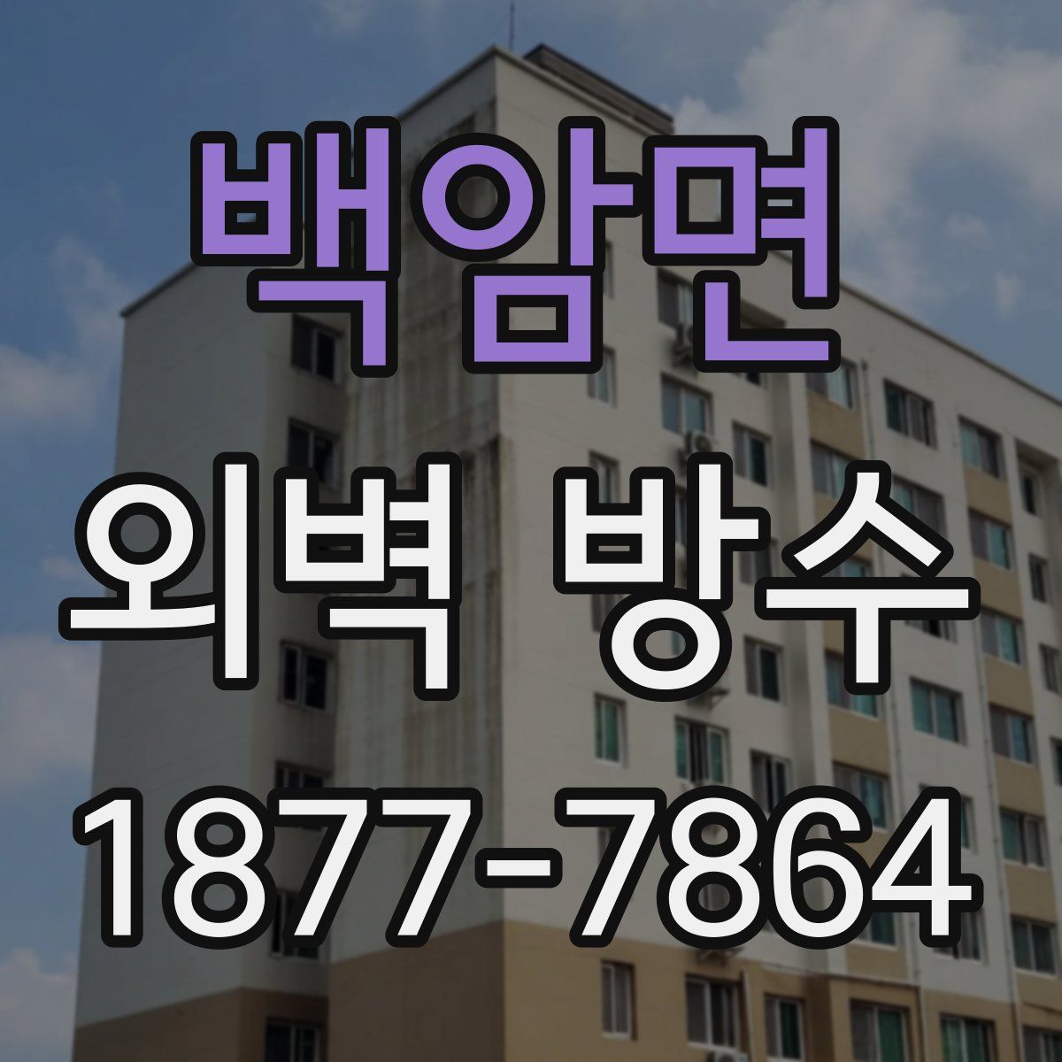 백암면 외벽 방수
