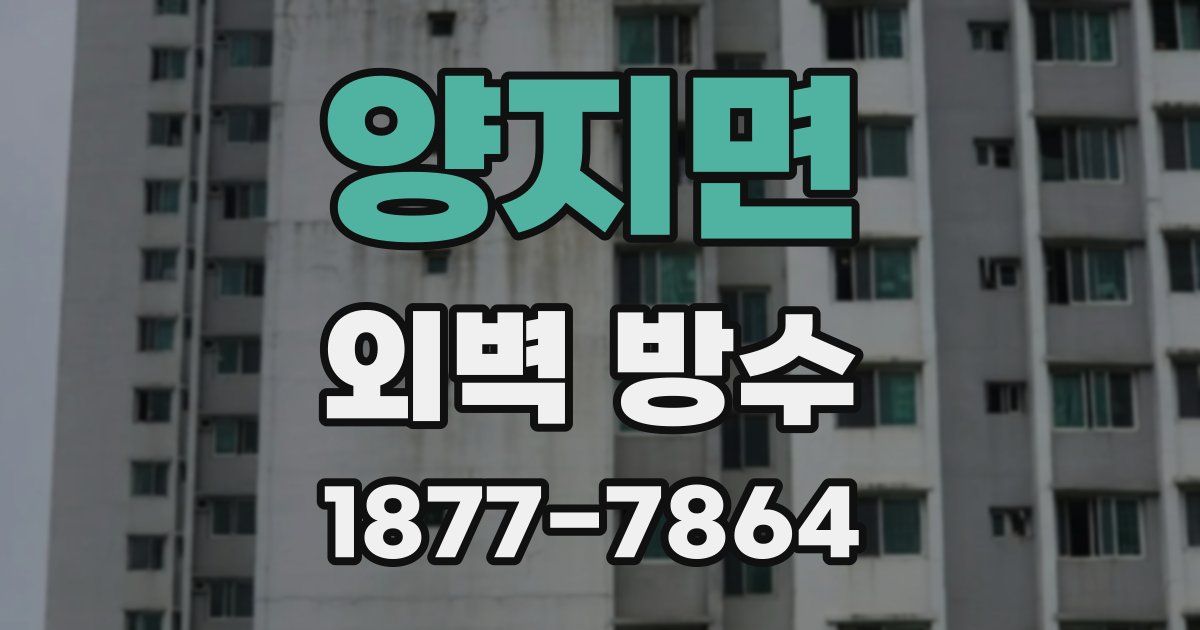 양지면 외벽 방수